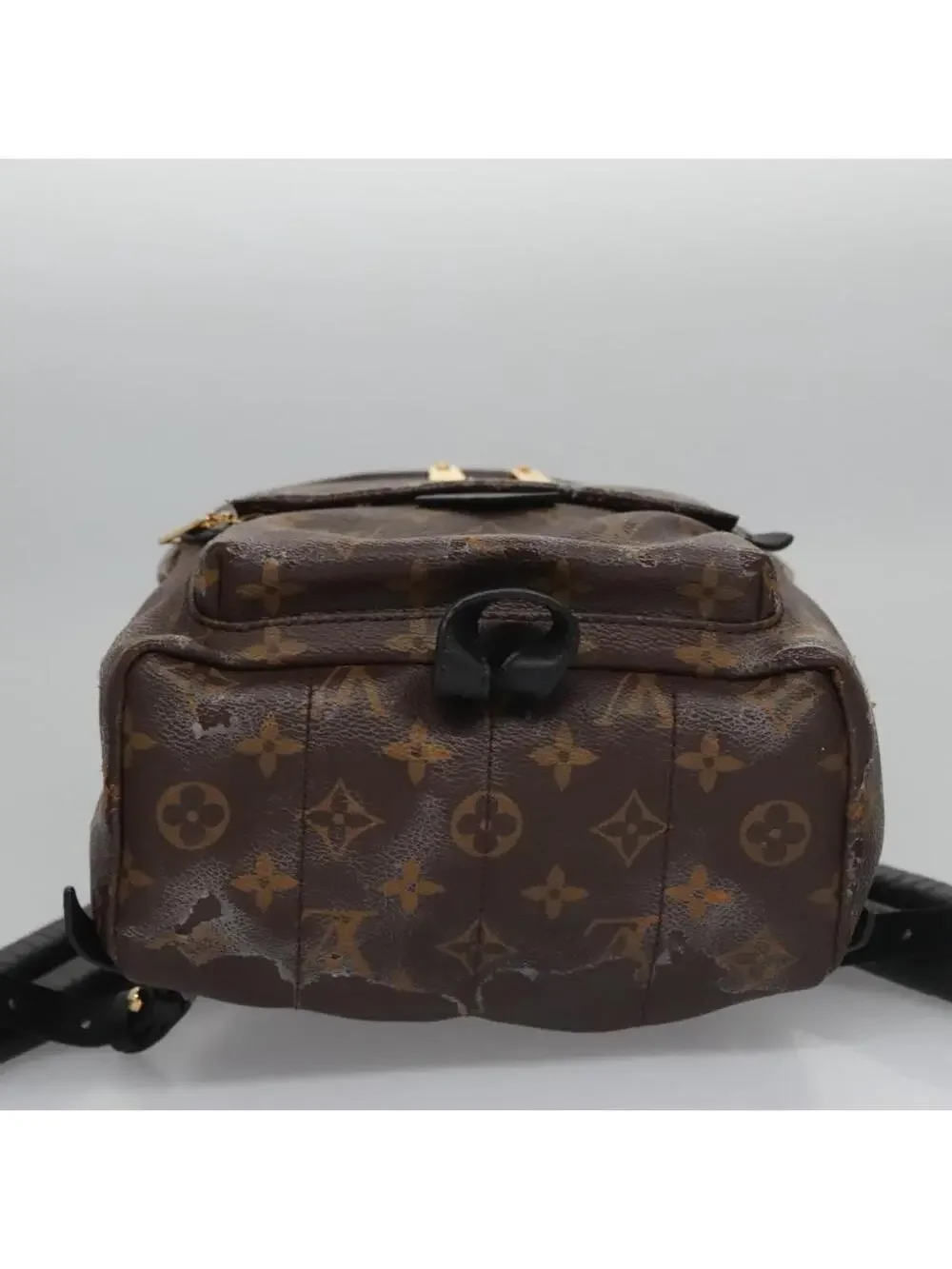 Louis Vuitton Palm Springs Pm Backpack #344185L52B